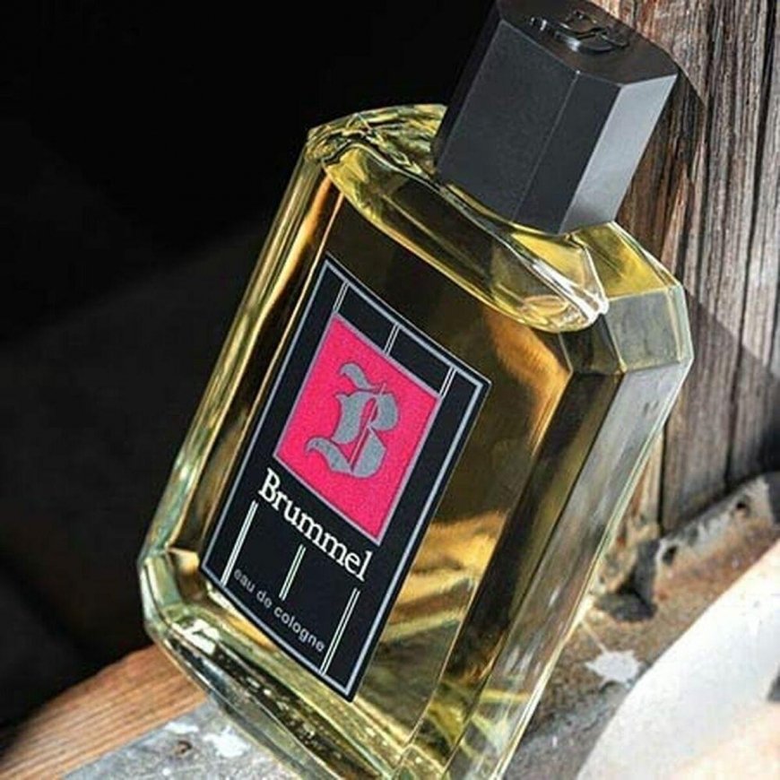 Vyrų kvepalai Puig Brummel EDC (500 ml) – 2
