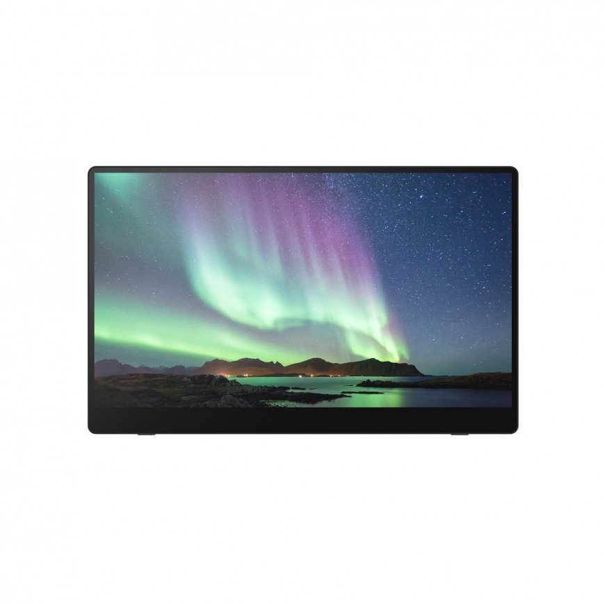 Ricoh 150 Portatīvs monitors Melns 39