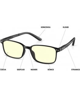 EVOLVEO BlueBlock60, PC glasses that block 60% of blue light, non-prescription, black