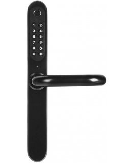 Door handle with access controller EURA ELH-30H4 Black