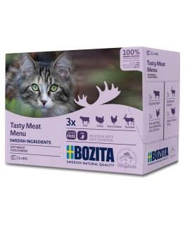 Bozita 9107573 kissojen kosteamuona 85 g
