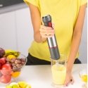 Zelmer ZHB4650 VARIO 0,7 L Iegremdējams blenderis 1400 W Metālisks, Sarkans Zelmer ZHB4650 VARIO 0,7 L Iegremdējams blenderis 1400 W Metālisks, Sarkans