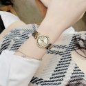 Naiste kell MICHAEL KORS MK3191 - DARCI (zm501c) + KARP Naiste kell MICHAEL KORS MK3191 - DARCI (zm501c) + KARP