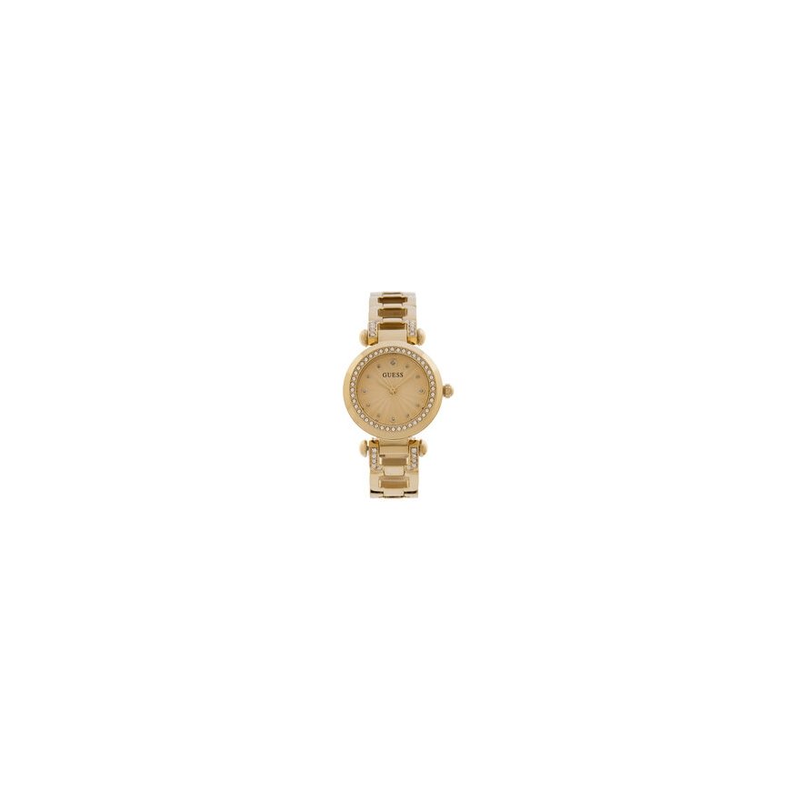 Laikrodis GUESS LADIES GW0869L4 – 2