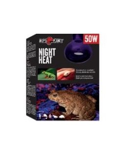 Glow bulb for terrarium: Repti Planet Bulb Moonlight HEAT 50W