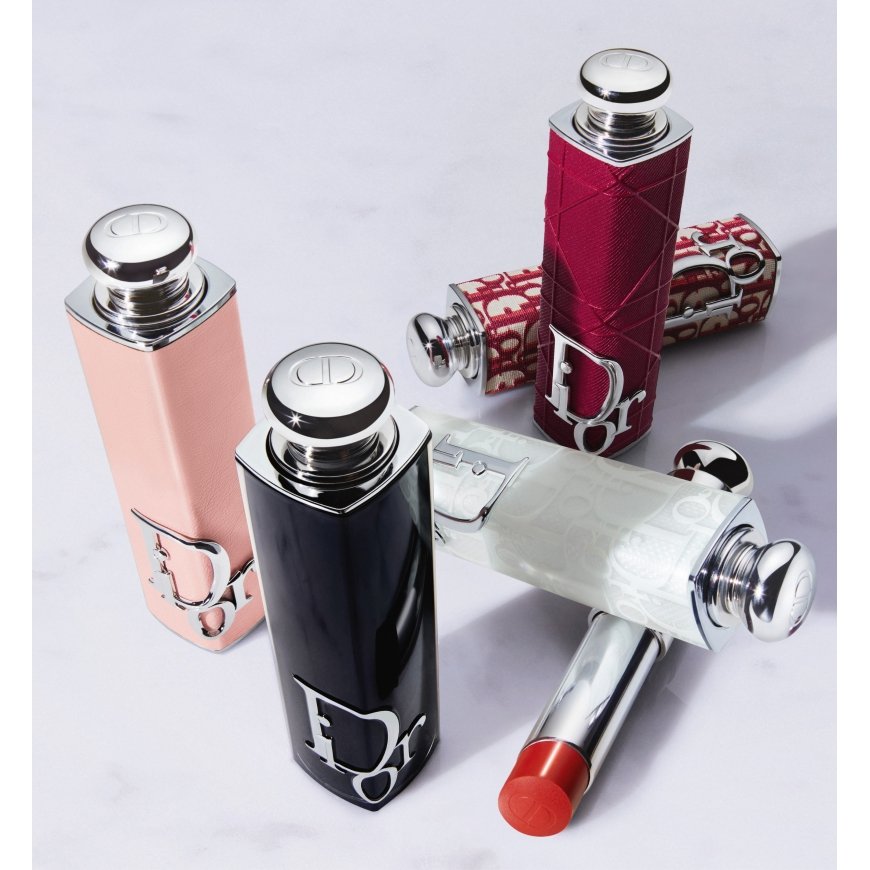 Dior Addict 3,2 g 211 Jardin Doré „Shine“ – 4