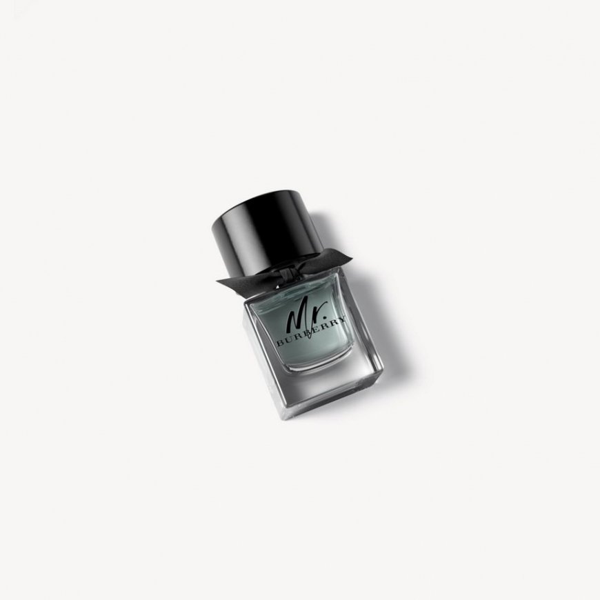 Burberry Mr. 50 ml Vyrams