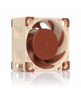Noctua NF-A4x20 PWM Datora korpusam Ventilators 4 cm Bēšs, Brūns