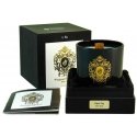 Tiziana Terenzi Capri fig scented candle 170 g