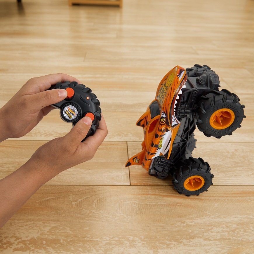 Hot Wheels Monster Trucks HNV03 žaislinė transporto priemonė – 4