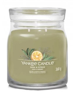 Yankee Candle Sage & Citrus vaska svece Cilindrs Citrons, Laims, Salvija Zaļš 1 pcs