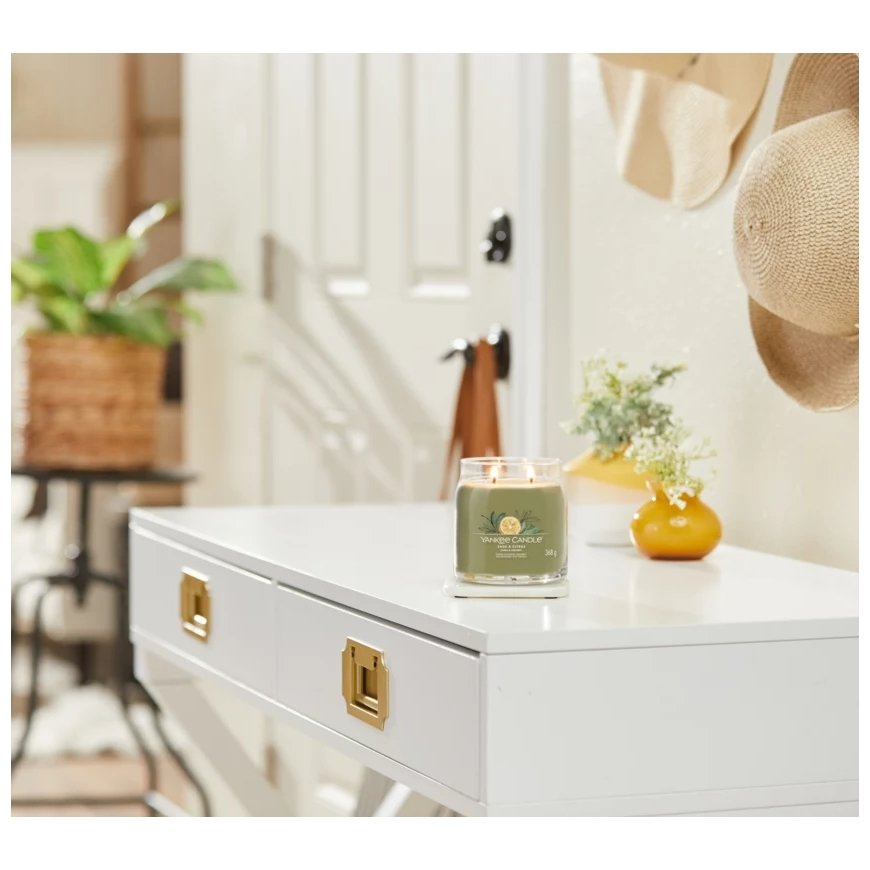 Yankee Candle Sage & Citrus vahaküünal Silinder Sidrun, Laim, Salvei Roheline 1 tk – 3