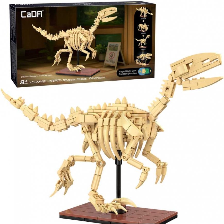 CaDA dinosaur fossil dinosaur skeleton set: Velociraptor 256 pieces