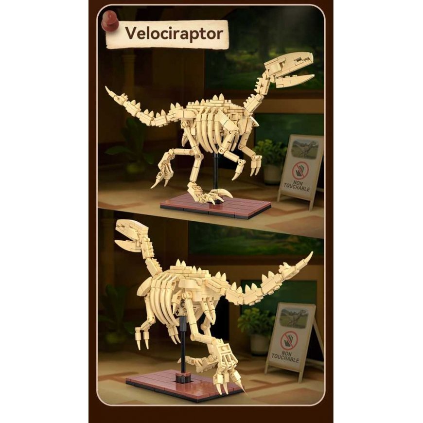 CaDA dinosauruste fossiilide dinosauruse skeleti komplekt: Velociraptor 256 osa – 4