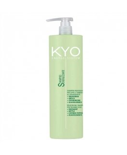 Ronney Kyo Energy System shampoo for hair loss 1000 ml