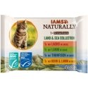 SHELMA Rich in salmon, cod, beef and chicken - wet cat food - 4x85g SHELMA Rich in salmon, cod, beef and chicken - wet cat food - 4x85g