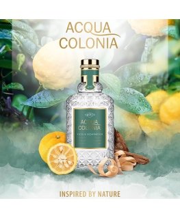 Acqua Colonia Yuzu ir Kedras EDC