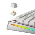Glorious Gaming GLO-KB-ACC-SWT-PANDA-LUBED-36 аксессуар для устройств ввода Keyboard switches lube s Glorious Gaming GLO-KB-ACC-SWT-PANDA-LUBED-36 аксессуар для устройств ввода Keyboard switches lube s