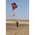 Aitvaras 51WA Diamond kite dragon Aitvaras 51WA Diamond kite dragon