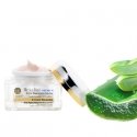 Rexaline X-treme Renovator Dieninis kremas Veidas 50 ml Rexaline X-treme Renovator Dieninis kremas Veidas 50 ml