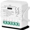 GISE smart dual "WiFi" relay module | Tuya | GDS-WF GISE smart dual "WiFi" relay module | Tuya | GDS-WF