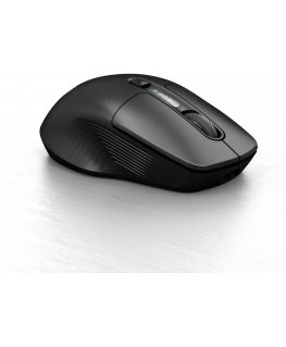 Mouse C-TECH WLM-13 Dual mode, black