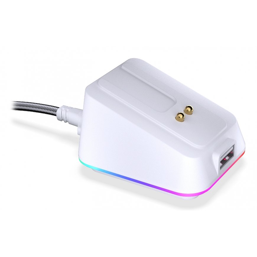 ENDORFY EY0F002 компьютерная мышь Дома Для обеих рук RF Wireless + USB Type-A