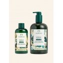 The Body Shop Dušo želė Moringa (Dušo želė)