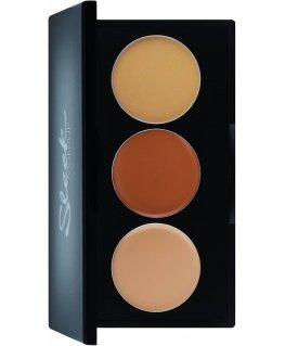 Sleek MakeUP, Sleek MakeUP, Powder Corrector & Concealer 2-In-1
