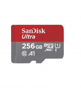 SanDisk SDSQUAC-256G-GN6FA mälukaart 256 GB MicroSDXC UHS-I