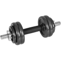 Regulējami svara čuguna hanteles ar stieni, komplekts 15 kg REBEL ACTIVE
