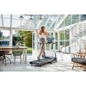 Juoksupenkki REEBOK A2.0 Astroride hopea