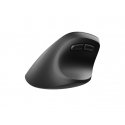 NATEC CRAKE 2 pele Birojs Kreisā roka Bluetooth sistēma Optisks 2400 DPI NATEC CRAKE 2 pele Birojs Kreisā roka Bluetooth sistēma Optisks 2400 DPI