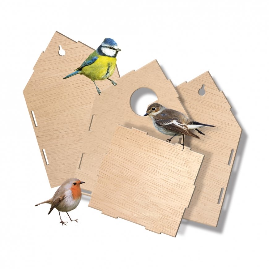 SES Creative Explore Birdhouse – 5