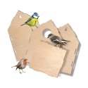 SES Creative Explore Birdhouse SES Creative Explore Birdhouse