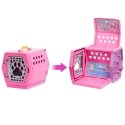Barbie Chelsea Doll and Playset Barbie Chelsea Doll and Playset