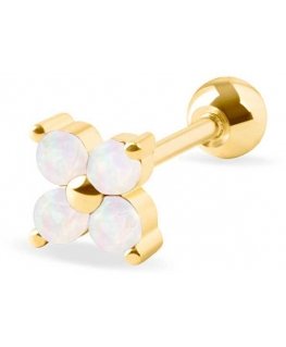 Subtle gold-plated earrings with white crystals
