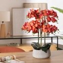Atmosphera Dirbtinė gėlė vazone, orchidėja SANAE, 65 cm Atmosphera Dirbtinė gėlė vazone, orchidėja SANAE, 65 cm