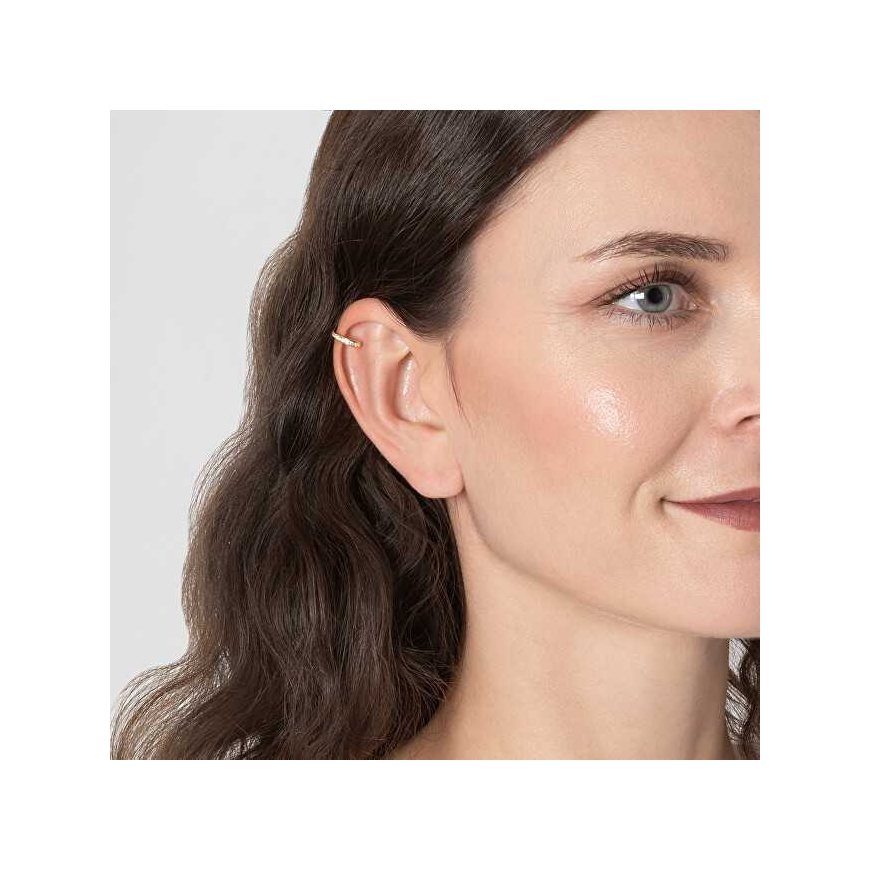 Elegant gold-plated earrings with crystals