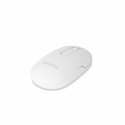DICOTA D32045 pele Abām rokām RF bezvadu sakari + Bluetooth Optisks 1600 DPI DICOTA D32045 pele Abām rokām RF bezvadu sakari + Bluetooth Optisks 1600 DPI