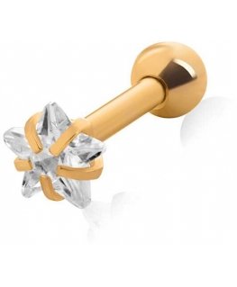 Troli Paauksuotas kõrvarõngas Star kristalliga