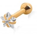 Golden plated earrings with Star crystal Golden plated earrings with Star crystal