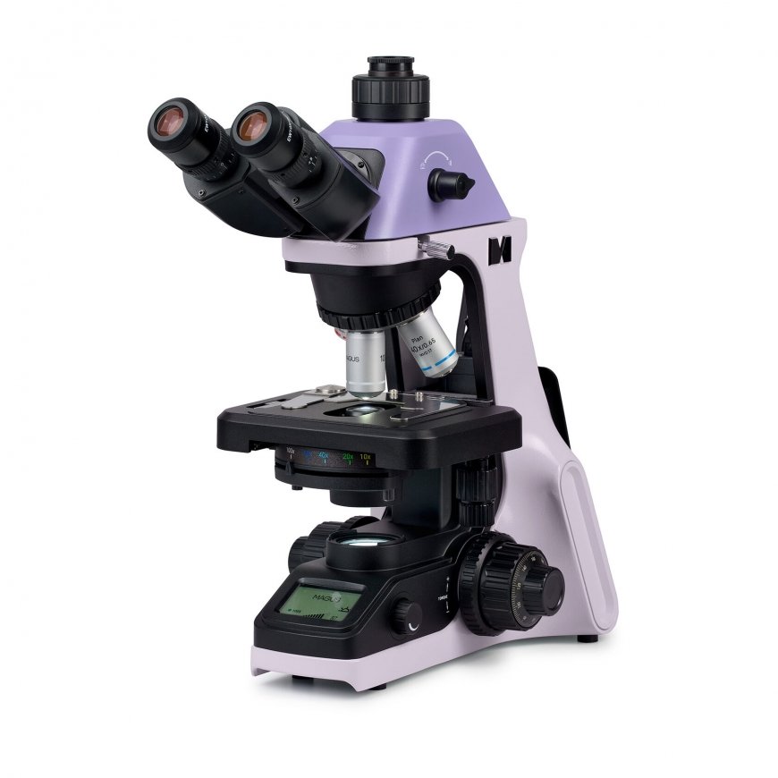 Biological microscope MAGUS Bio 240T