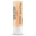 Бальзам для губ Weleda Everon Бальзам для губ Weleda Everon