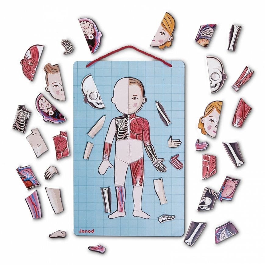 JANOD J05491 learning toy – 3