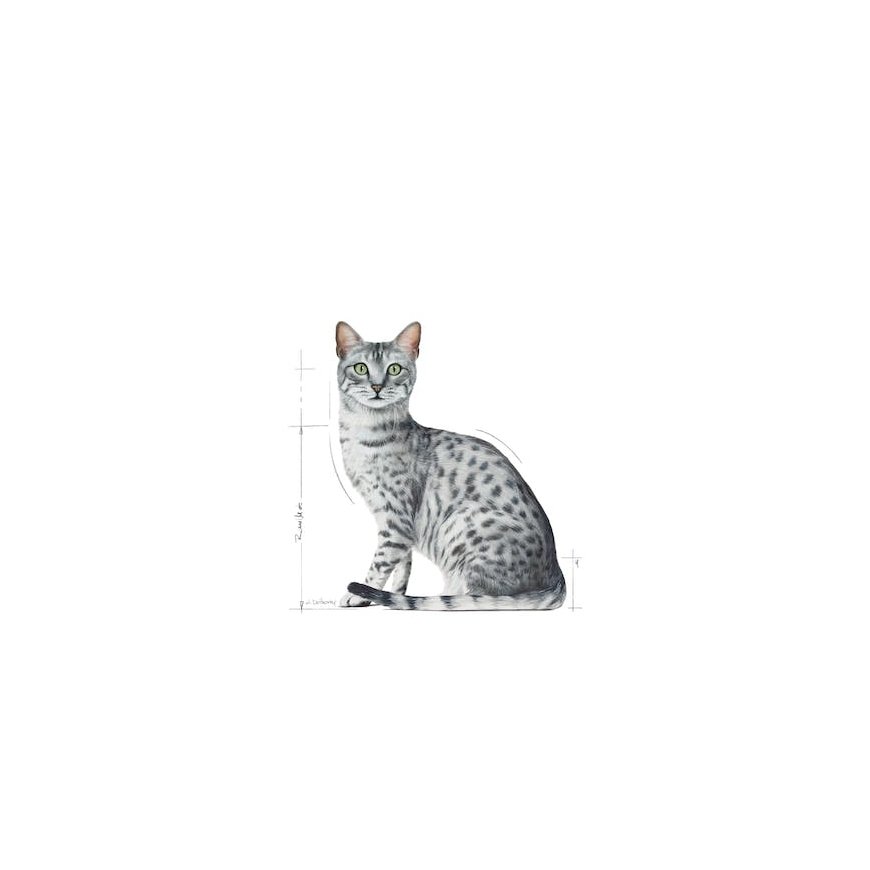 Royal Canin Indoor Sterilized 85 g – 3