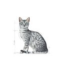 Royal Canin Indoor Sterilized 85 g Royal Canin Indoor Sterilized 85 g