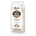 Brit 8595602530793 suņu sausā barība 12 kg Pieaudzis suns Tītars Brit 8595602530793 suņu sausā barība 12 kg Pieaudzis suns Tītars