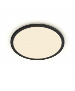Philips Functional 8719514327207 люстра/потолочный светильник Незаменяемая лампочка(и) LED