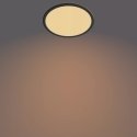 Philips Functional 8719514327207 люстра/потолочный светильник Незаменяемая лампочка(и) LED
